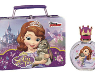 Disney Sofia the First Metal lunch box